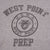 Vintage Champion USMA West Point Prep 1980s Tee Shirt Size Medium Made In USA